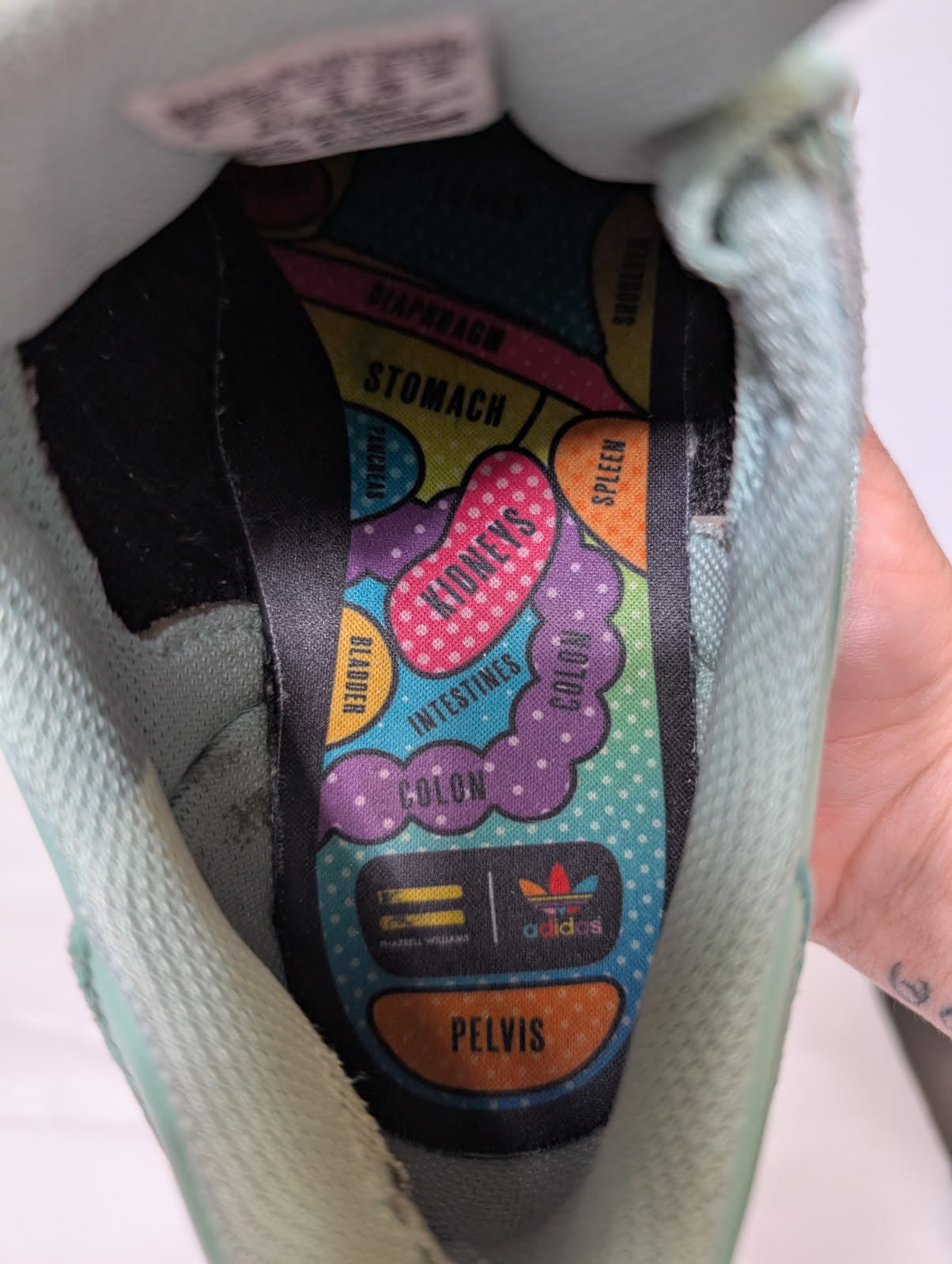Adidas Superstar Pharrell Williams Sneakers - Mint Green US 4 - Image 2