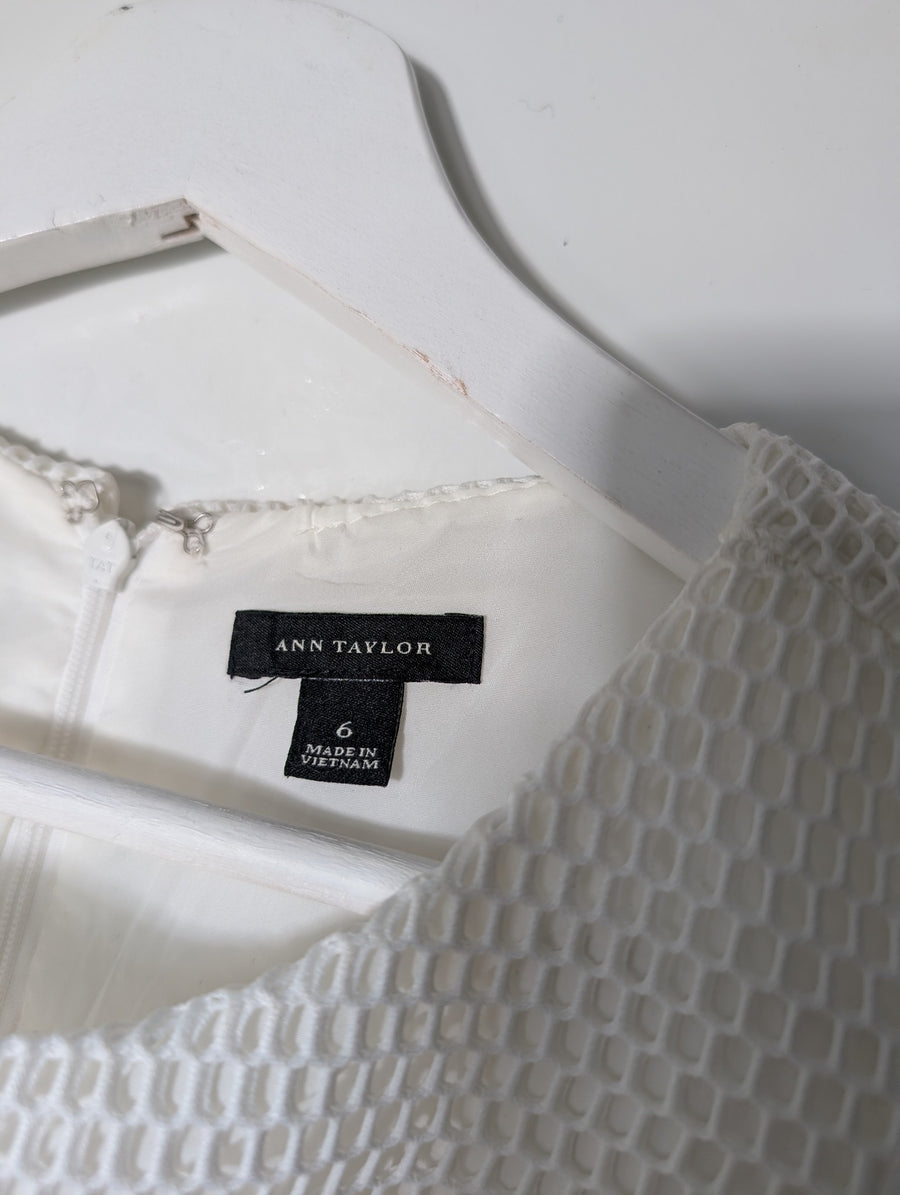 Ann Taylor Fit and Flare Dress White Sleeveless Textured Mesh Panel Size 6 - Image 4