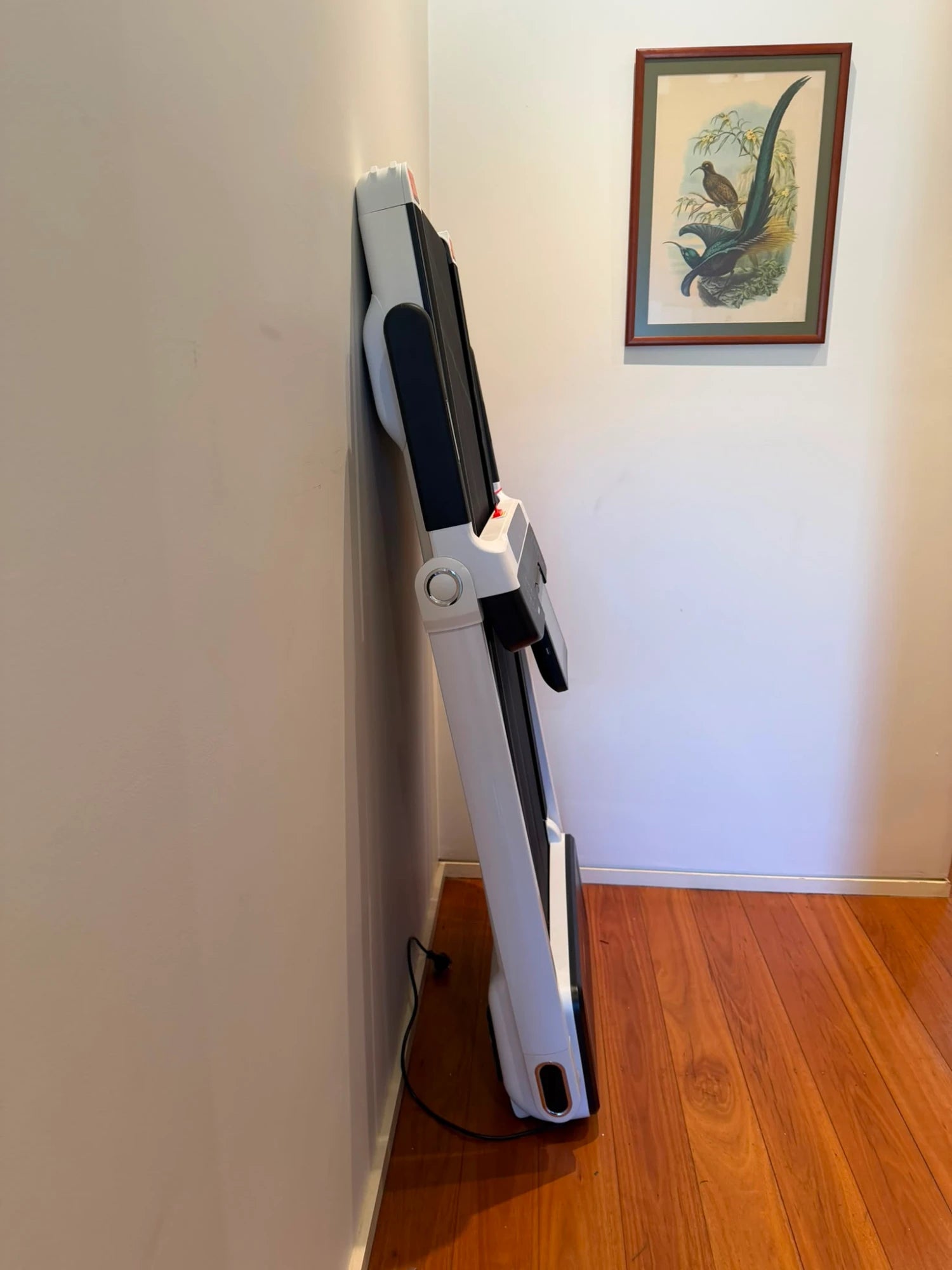 Sardine Folding Treadmill Compact Home Fitness Machine - Image 9