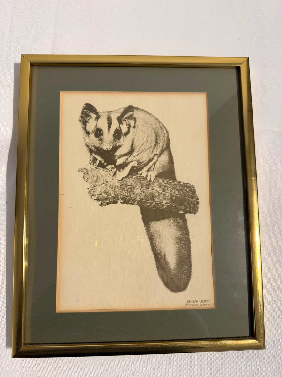 Vintage Australian Wildlife Etching Prints Set of 3 Framed Animal Art - Image 4