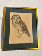 Vintage Australian Wildlife Etching Prints Set of 3 Framed Animal Art - Image 5