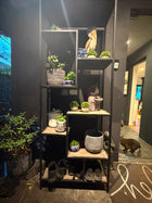 Coco Republic Industrial Display Shelving Unit Asymmetrical Metal and Wood - Image 2