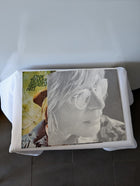 RCA Victor John Denver's Greatest Hits 1973 Vinyl LP Record - Image 3