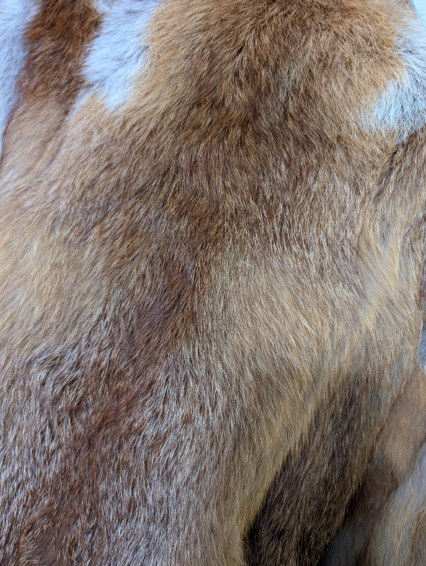 Vintage Levy Furs Red Fox Fur Jacket - Sydney Made - Image 5