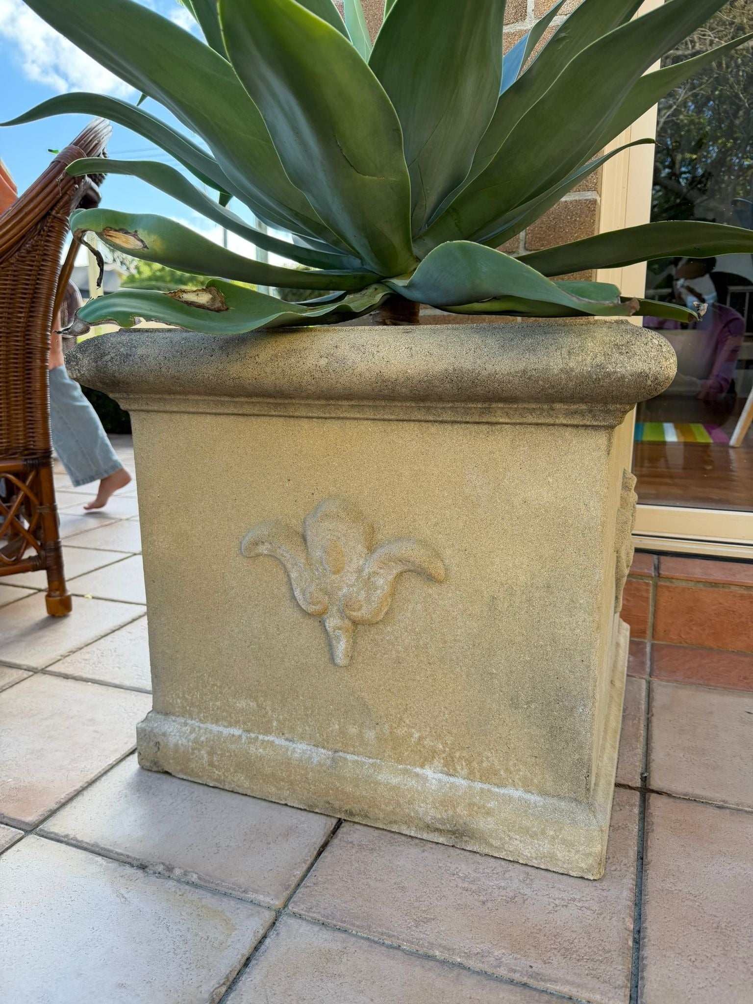 Pair of Large Fleur-de-lis Square Stone-Look Resin Planters with Agave Plants - Image 4
