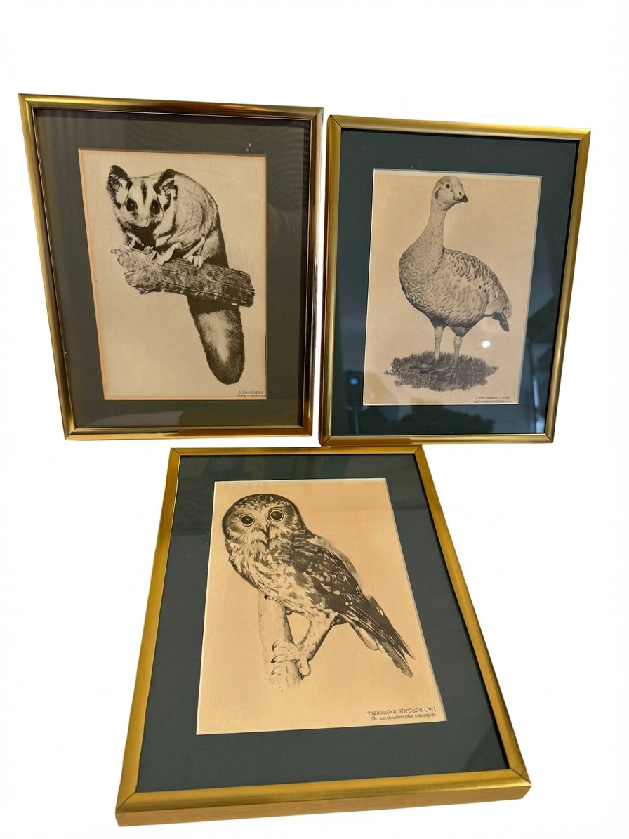 Vintage Australian Wildlife Etching Prints Set of 3 Framed Animal Art - Image 1