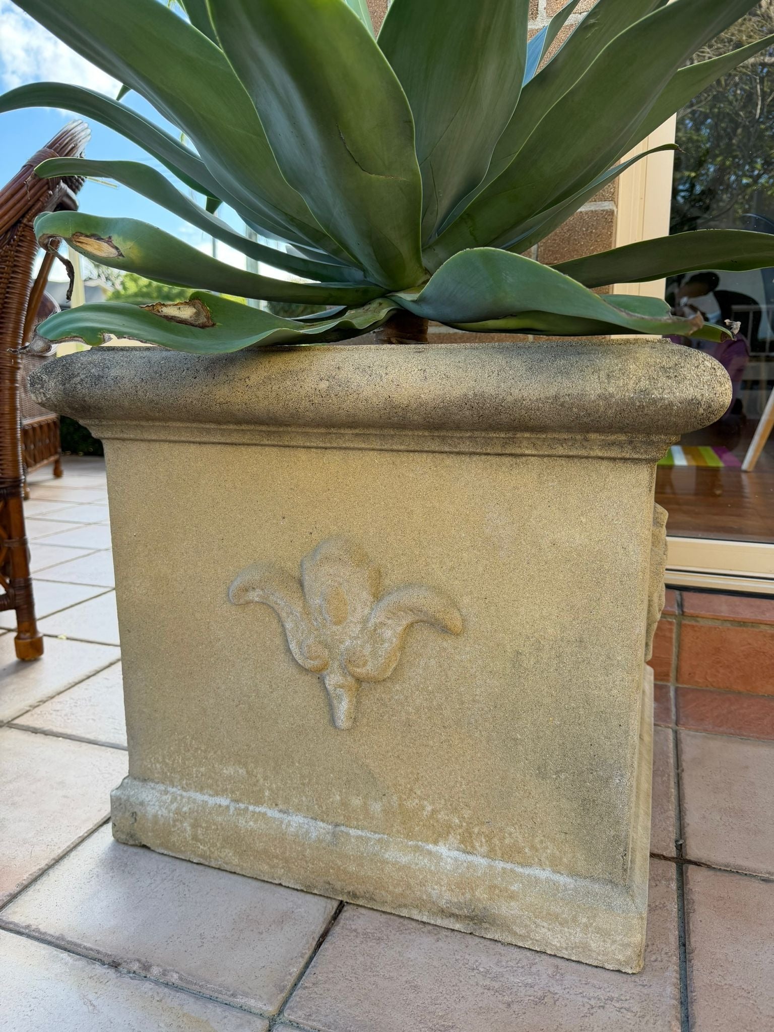Pair of Large Fleur-de-lis Square Stone-Look Resin Planters with Agave Plants - Image 6