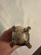 Kingsway Plate Silver Plated Footed Shaker Vintage - Image 7