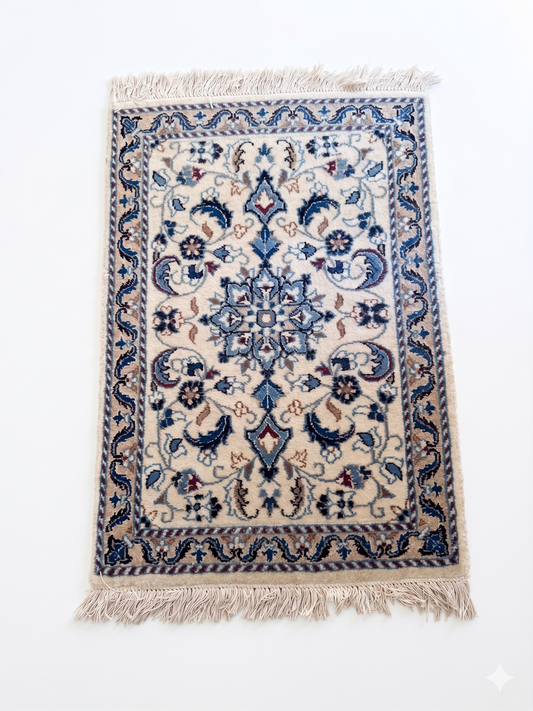 Persian Style Small Vintage Look Area Rug 61x90