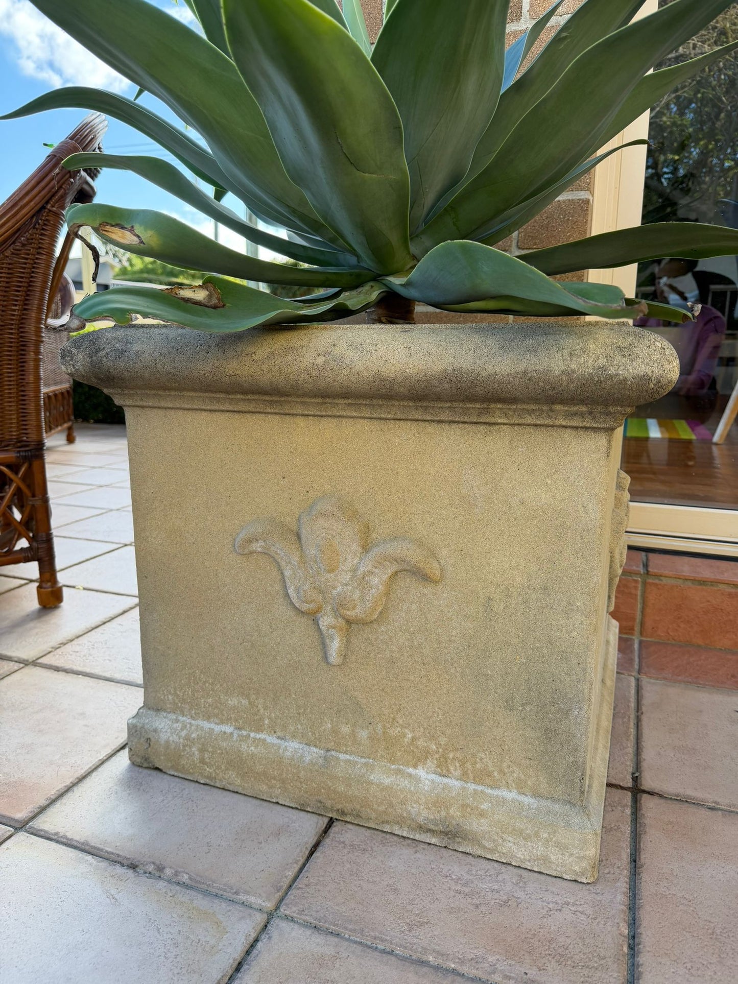 Pair of Large Outdoor Stone Planters with Agave Plants
