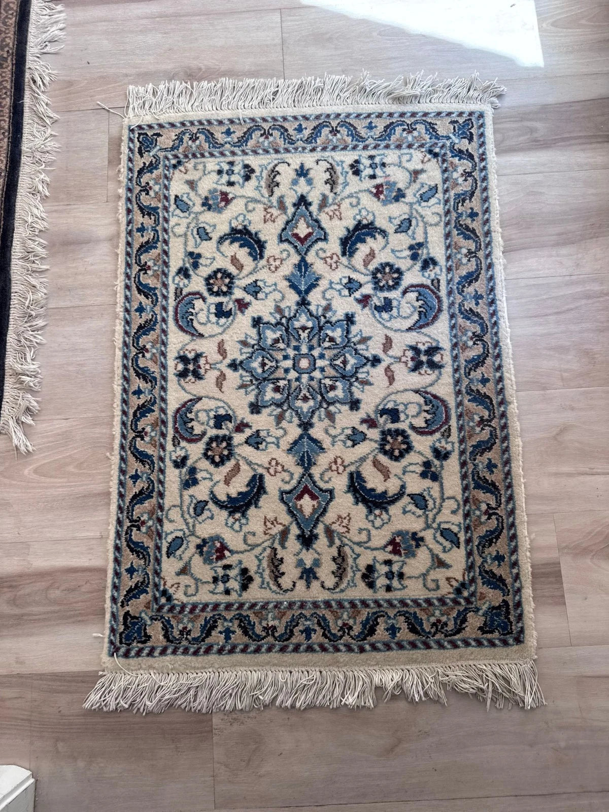 Persian Style Small Vintage Look Area Rug 61x90