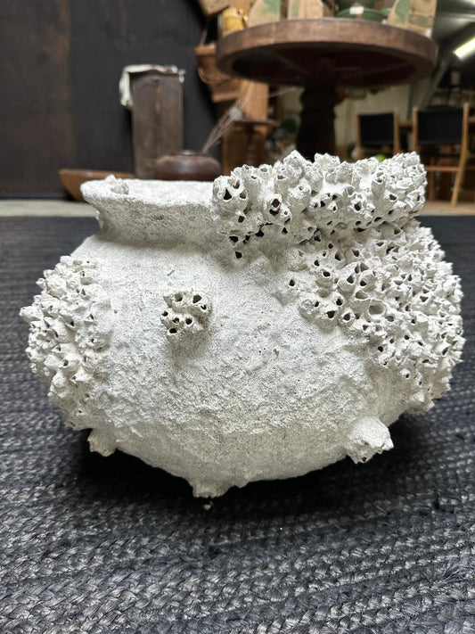 Barnacle Pot Coastal Sculptural Vessel Organic Coral Style Decor