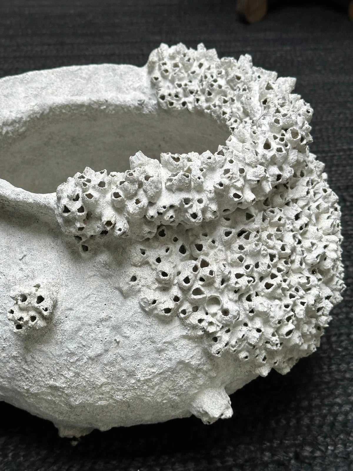 Barnacle Pot Coastal Sculptural Vessel Organic Coral Style Decor